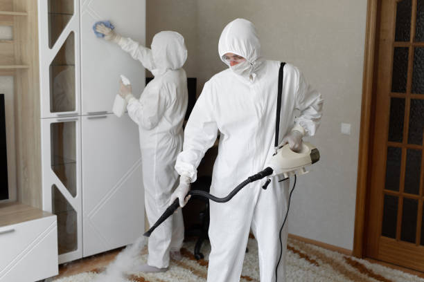 Best Toxic Mold Removal  in Wolfe City, TX