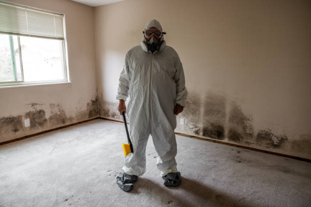 Best Professional Mold Removal  in Wolfe City, TX